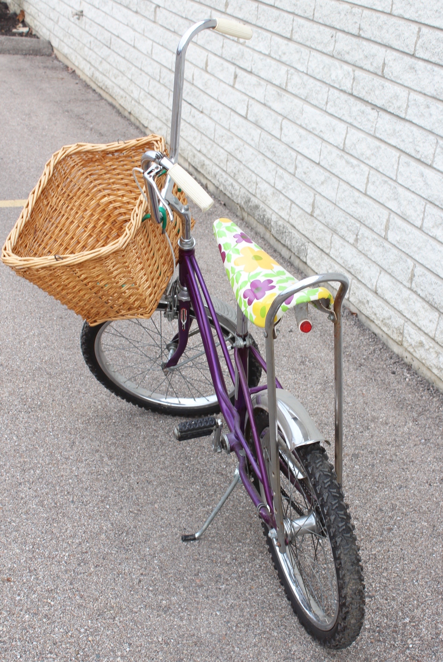 Vintage Executive Bicycle