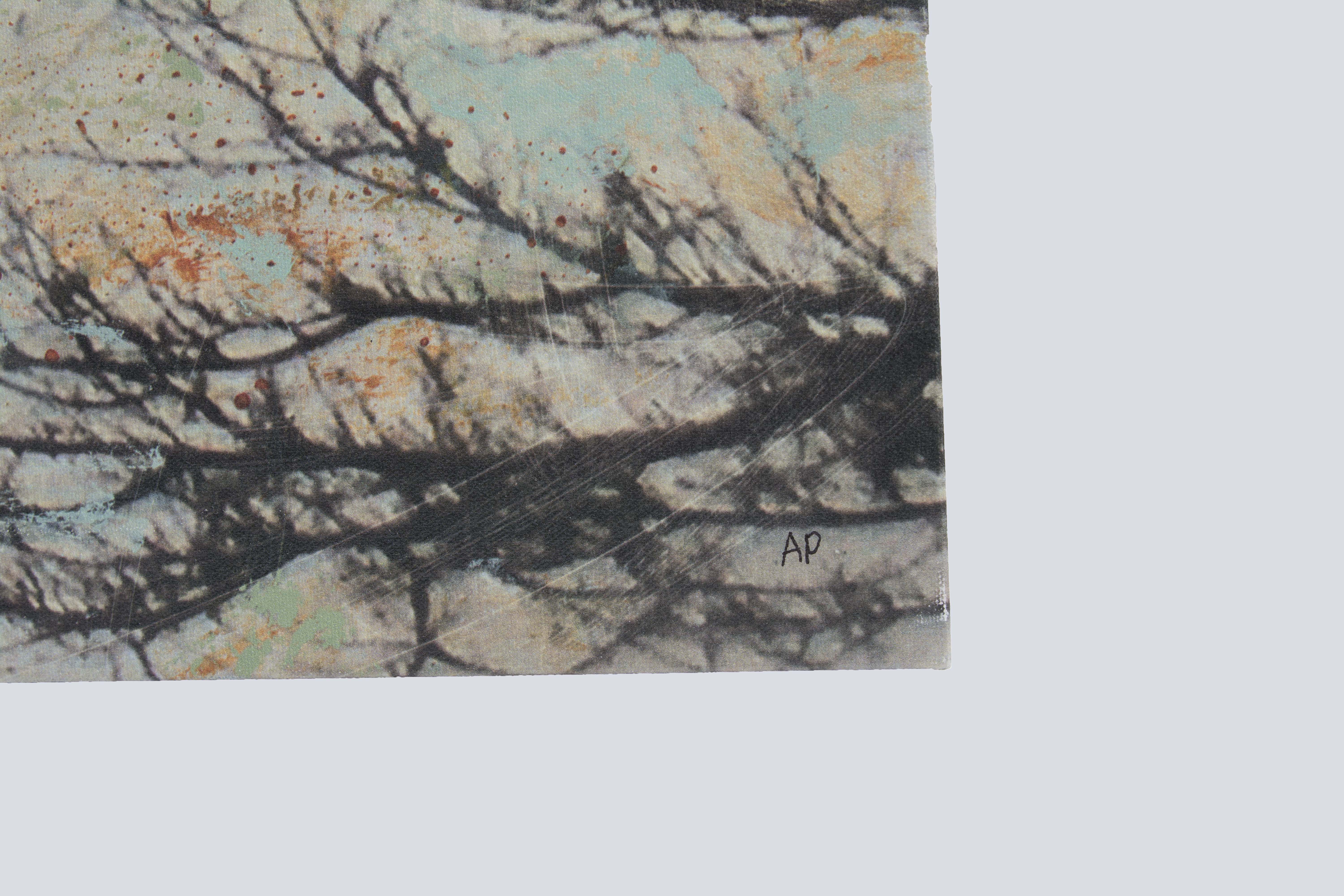 Signed Artist Proof Textured Giclée "Enchanted II" By Sara Abbott