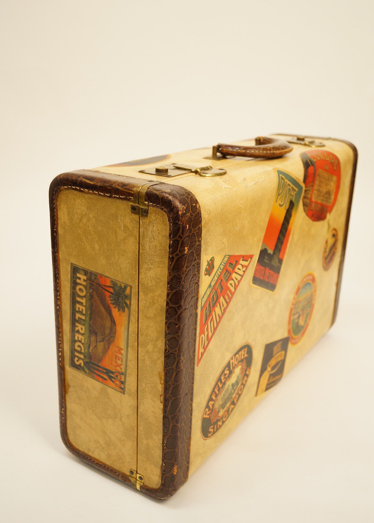 Vintage Horn World Traveler Suitcase