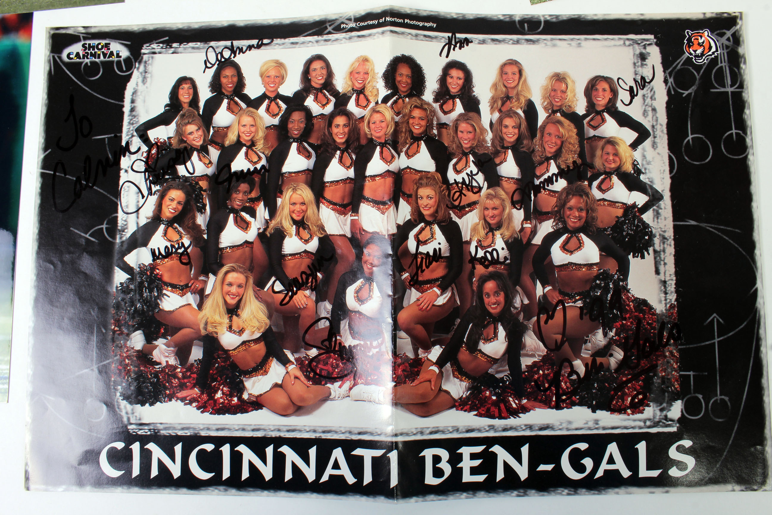 Collection of Cincinnati Bengals Autographs and Collectibles