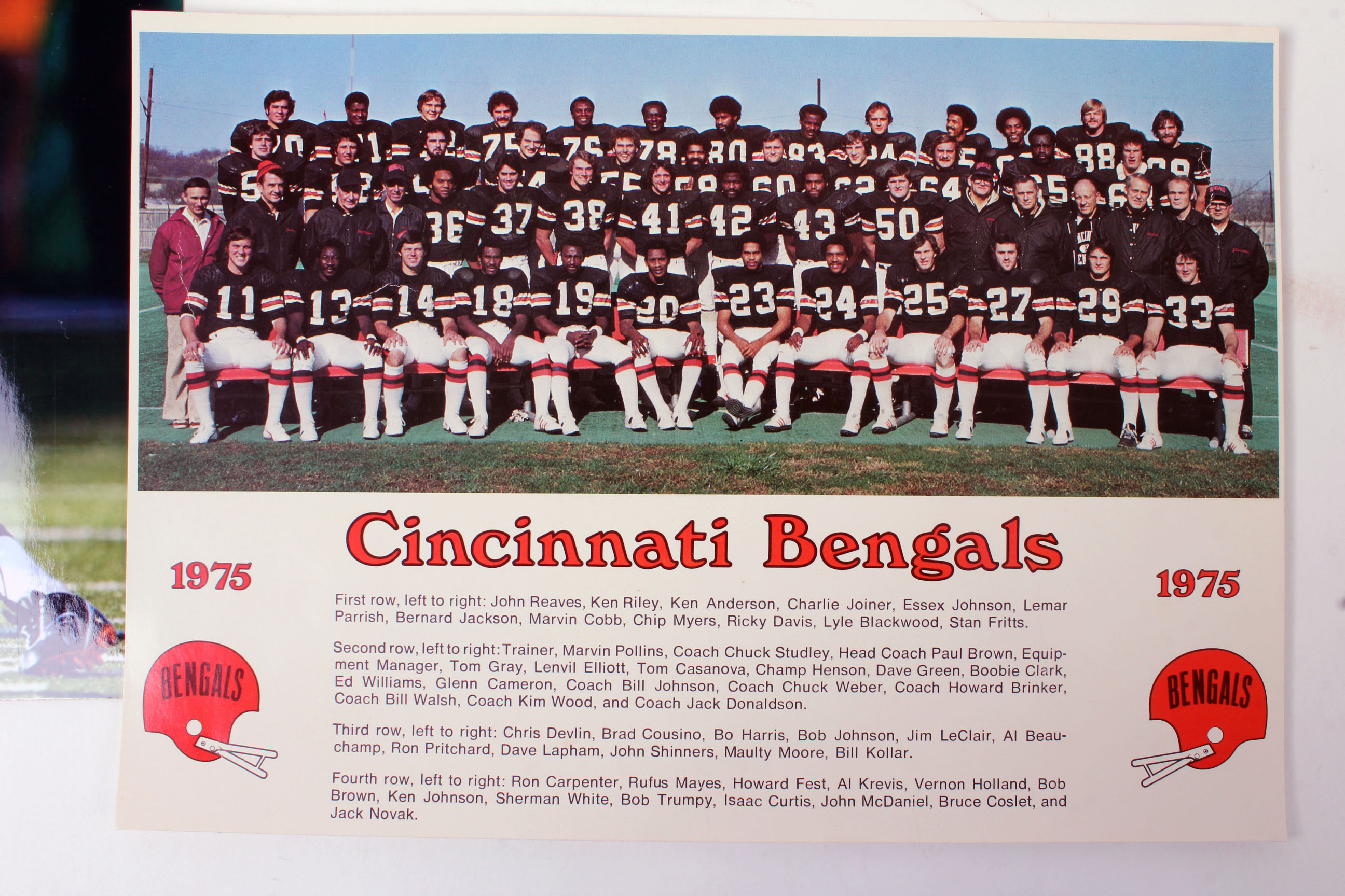 Collection of Cincinnati Bengals Autographs and Collectibles