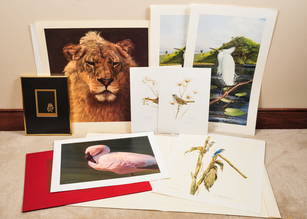Signed Limited Edition Wildlife Prints