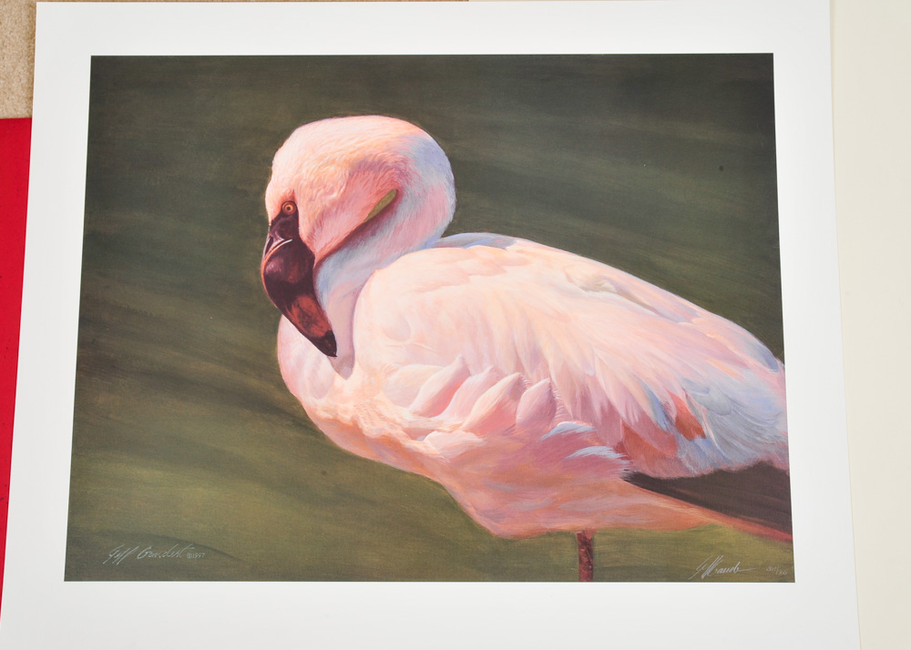 Signed Limited Edition Wildlife Prints