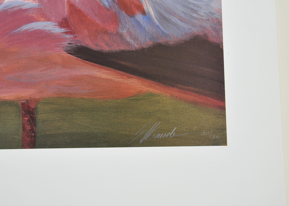 Signed Limited Edition Wildlife Prints