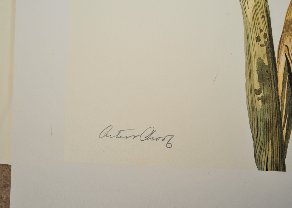 Signed Limited Edition Wildlife Prints