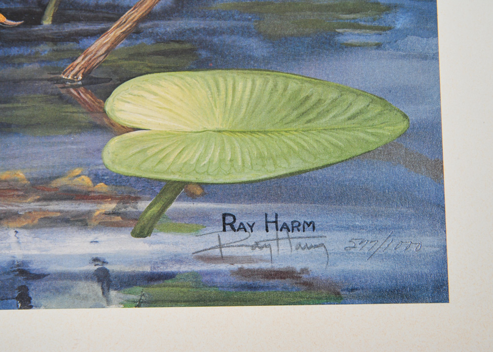 Signed Limited Edition Wildlife Prints