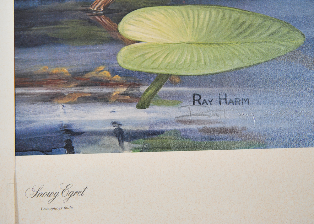 Signed Limited Edition Wildlife Prints