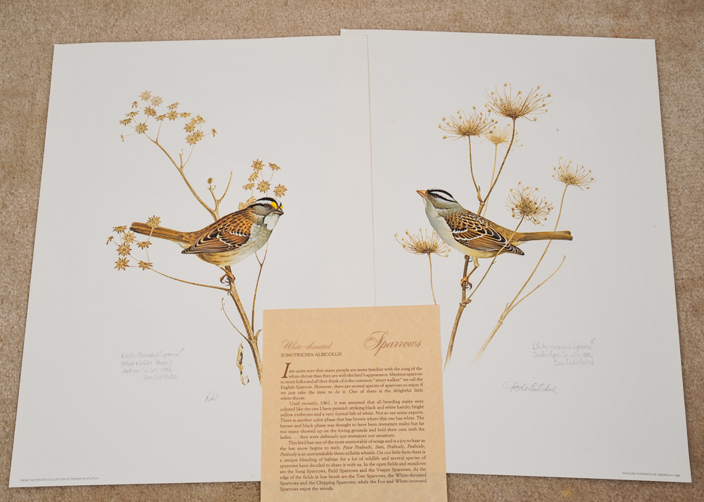 Signed Limited Edition Wildlife Prints