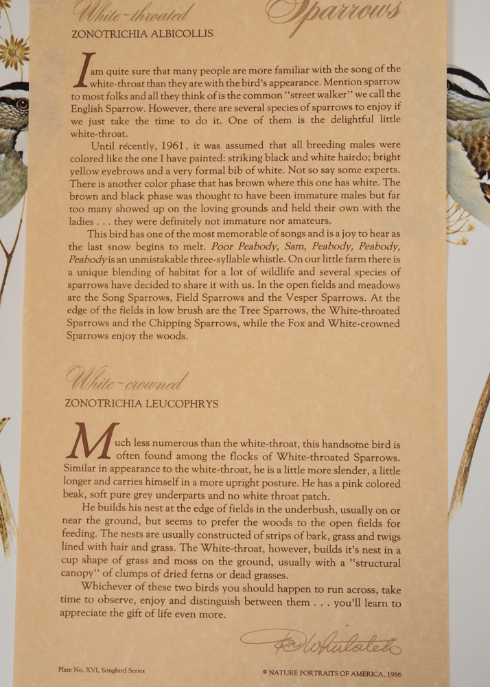 Signed Limited Edition Wildlife Prints