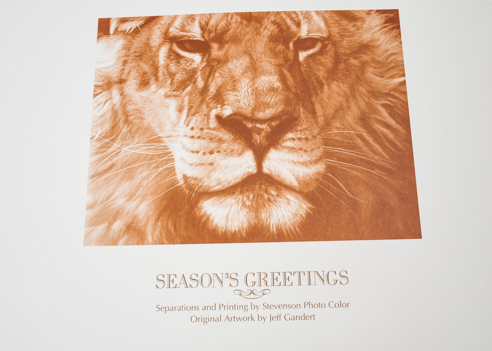 Signed Limited Edition Wildlife Prints