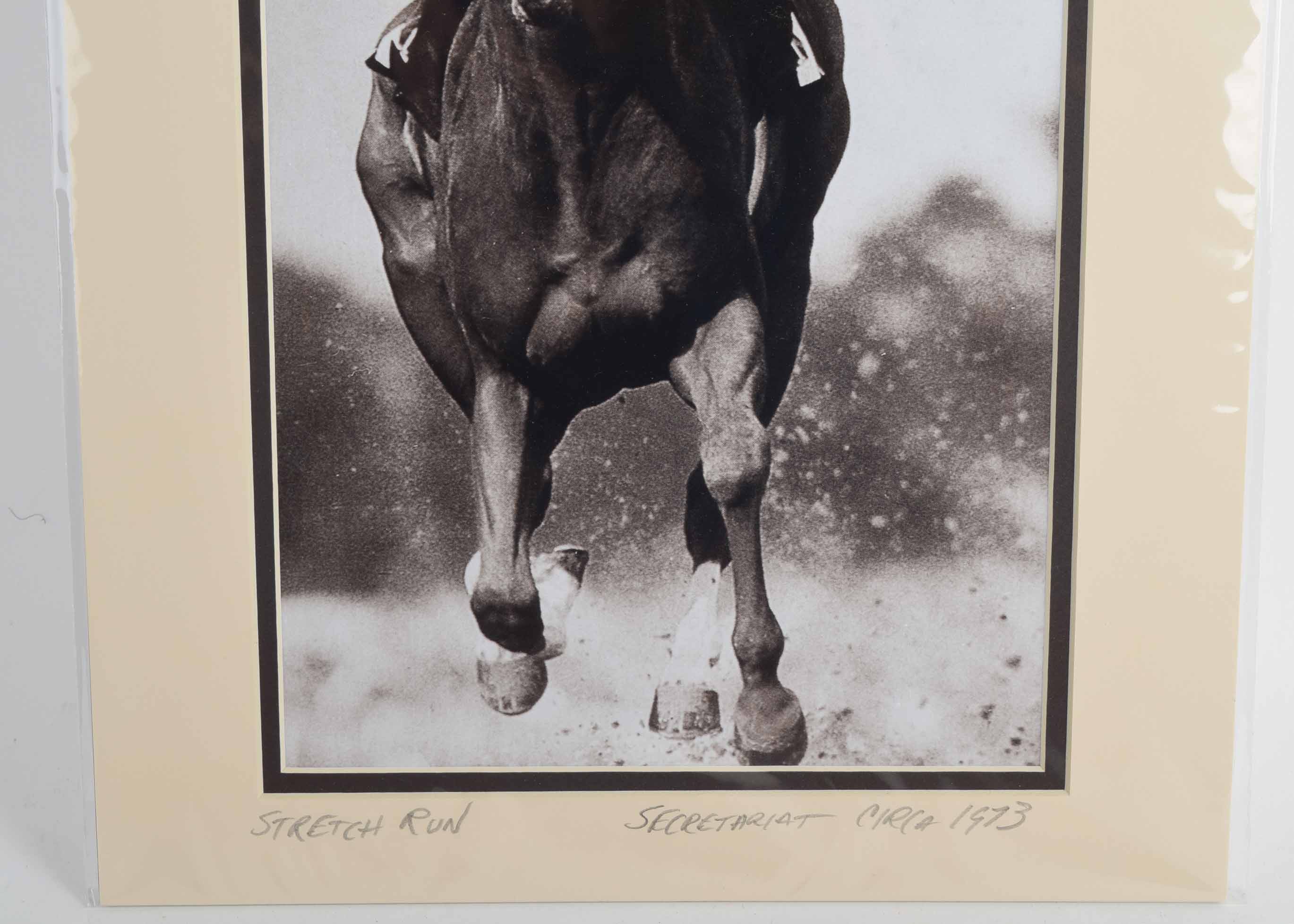 Photograph of Secretariat "Stretch Run", Circa 1973