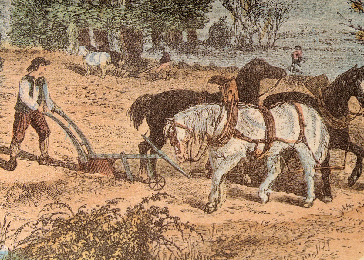 Two Pastoral Prints in Octagonal Frames