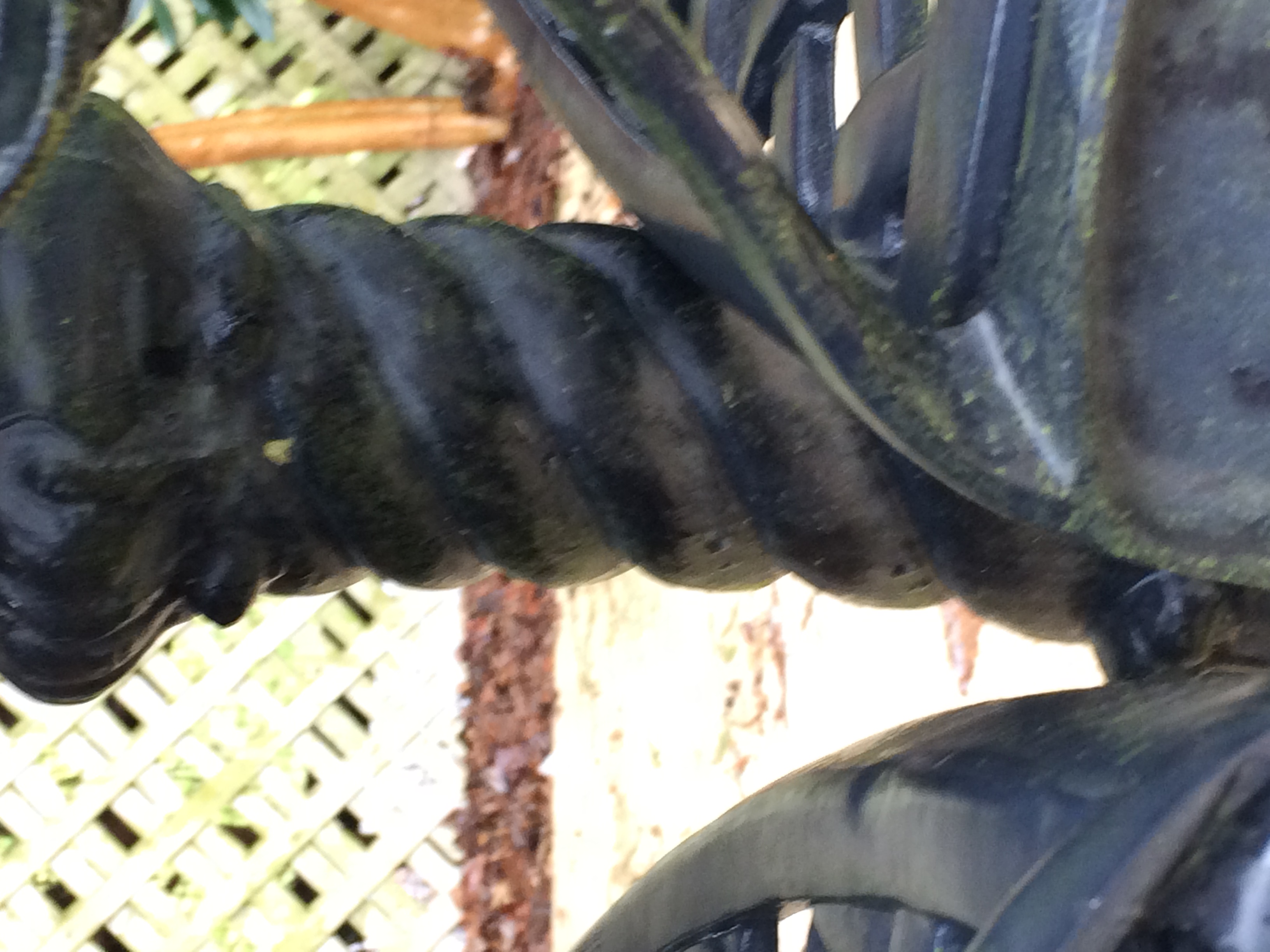 Cast Iron Bistro Table and Chairs