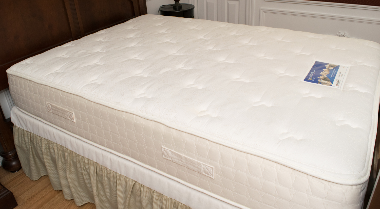 Full Size Serta Perfect Sleeper Mattress Set