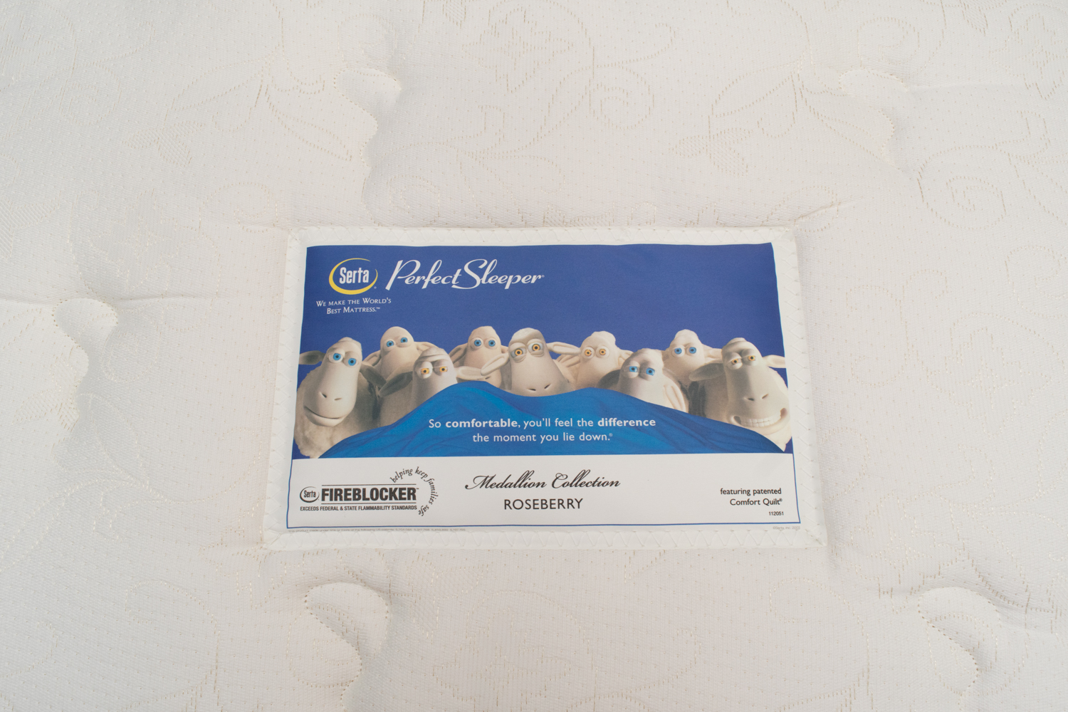 Full Size Serta Perfect Sleeper Mattress Set