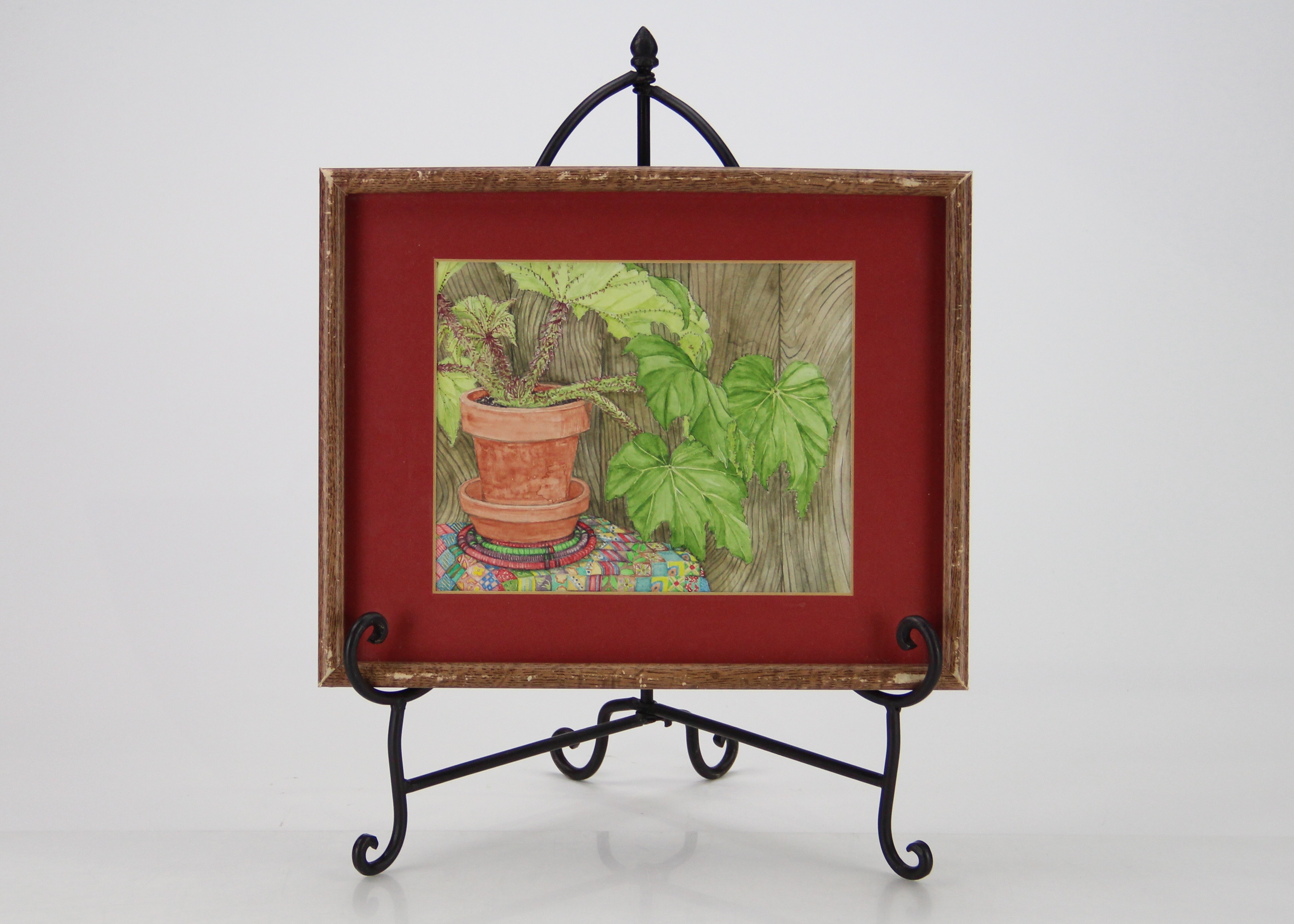 Angela Haworth Original Watercolor Painting Of Plant Still Life