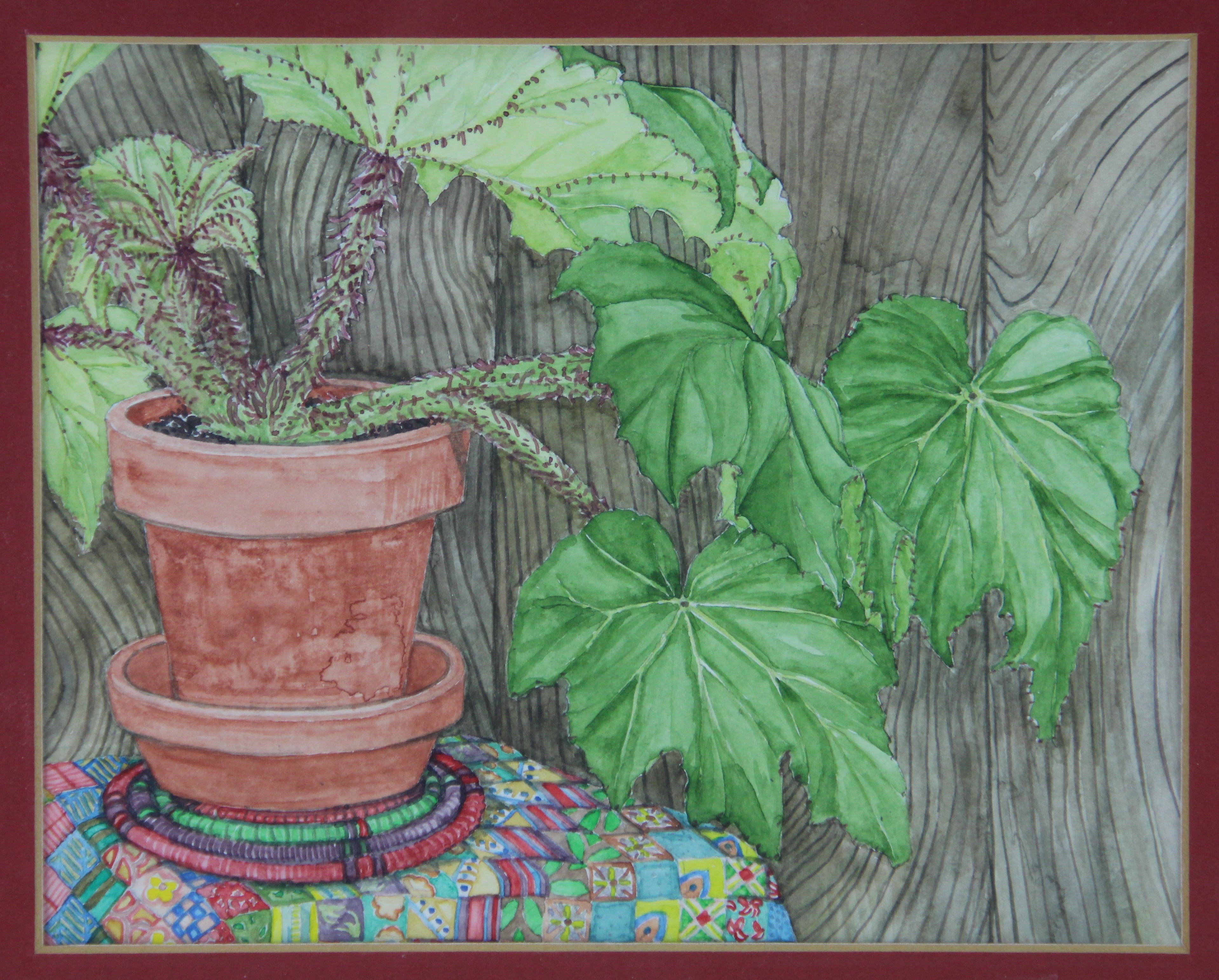 Angela Haworth Original Watercolor Painting Of Plant Still Life