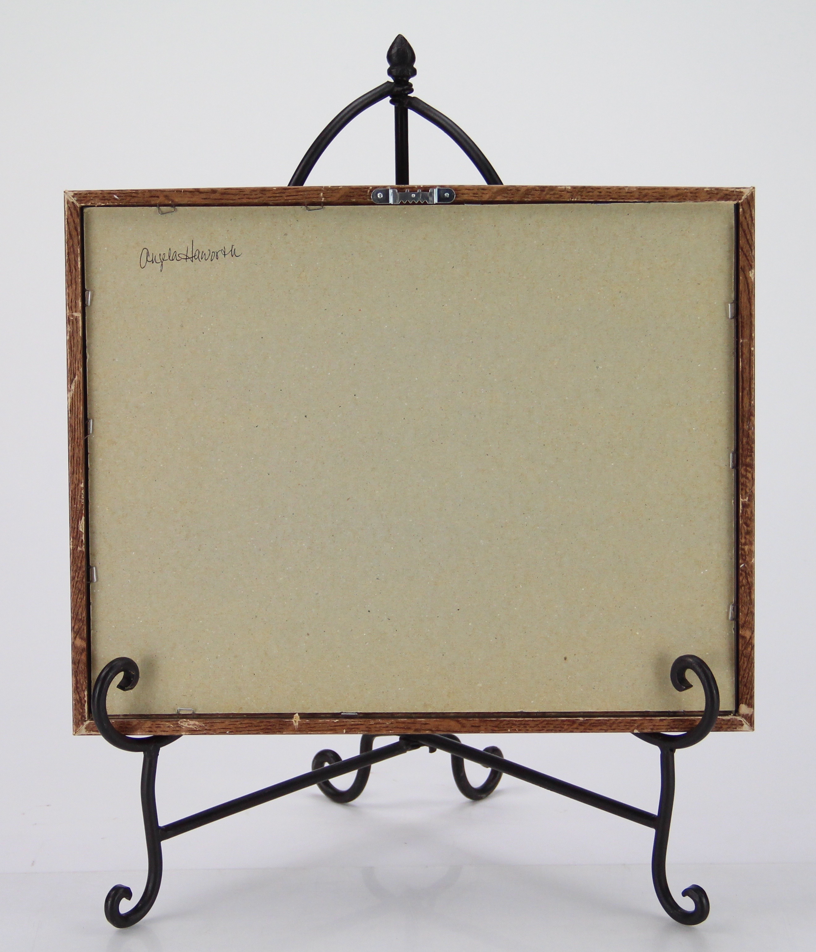 Angela Haworth Original Watercolor Painting Of Plant Still Life