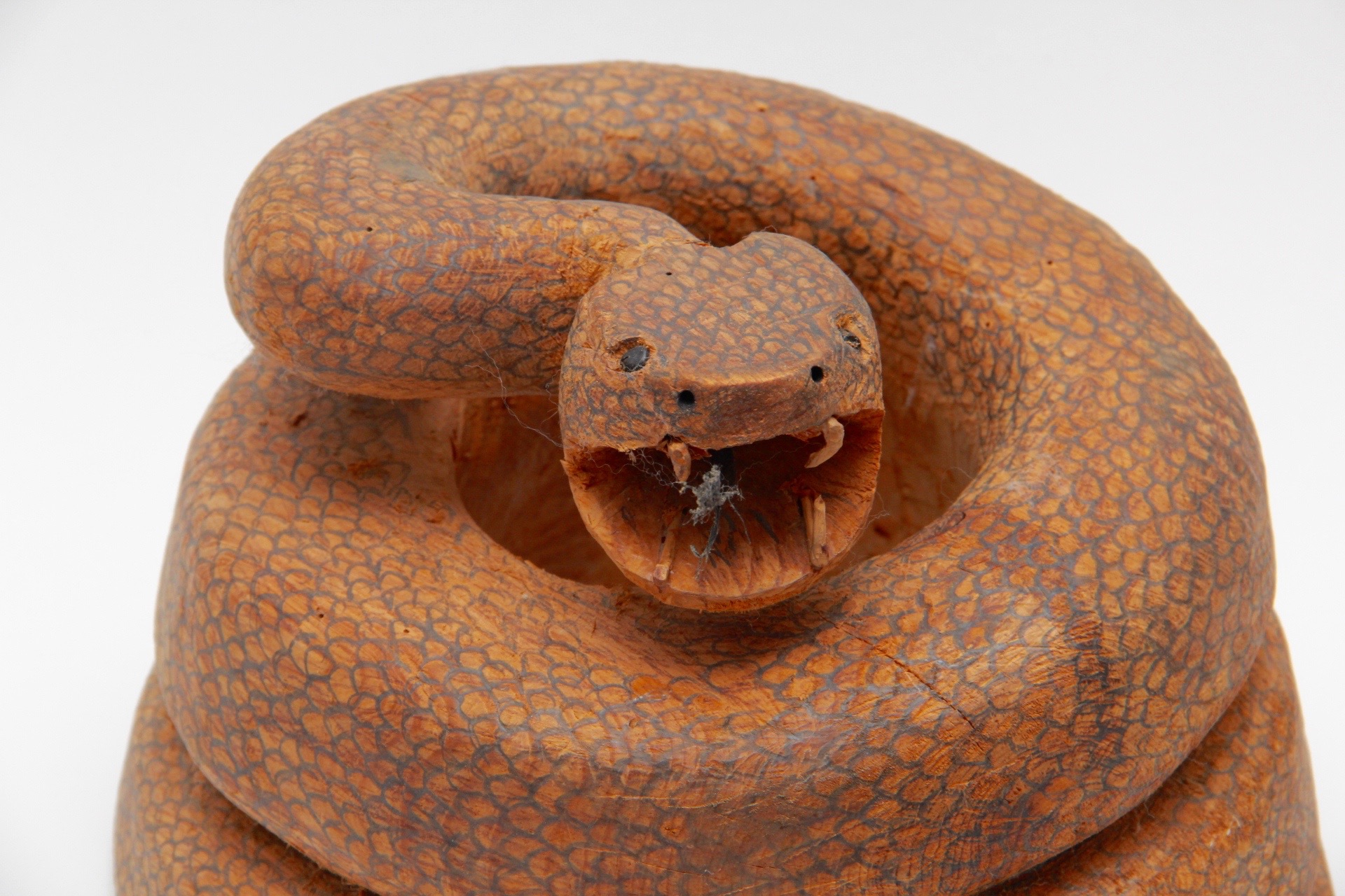 Hand-carved Pyrogravure Coiled Rattlesnake Sculpture