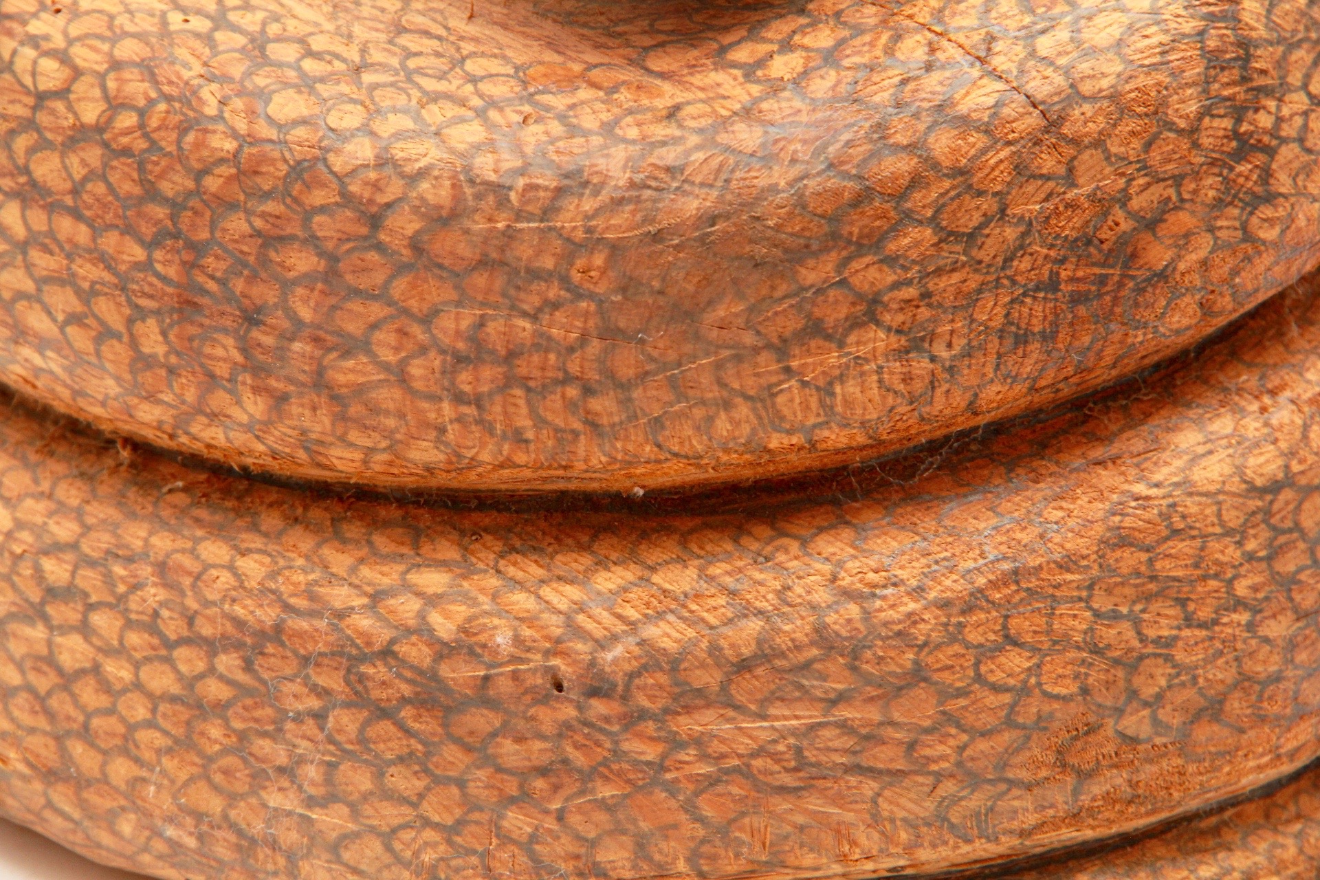 Hand-carved Pyrogravure Coiled Rattlesnake Sculpture