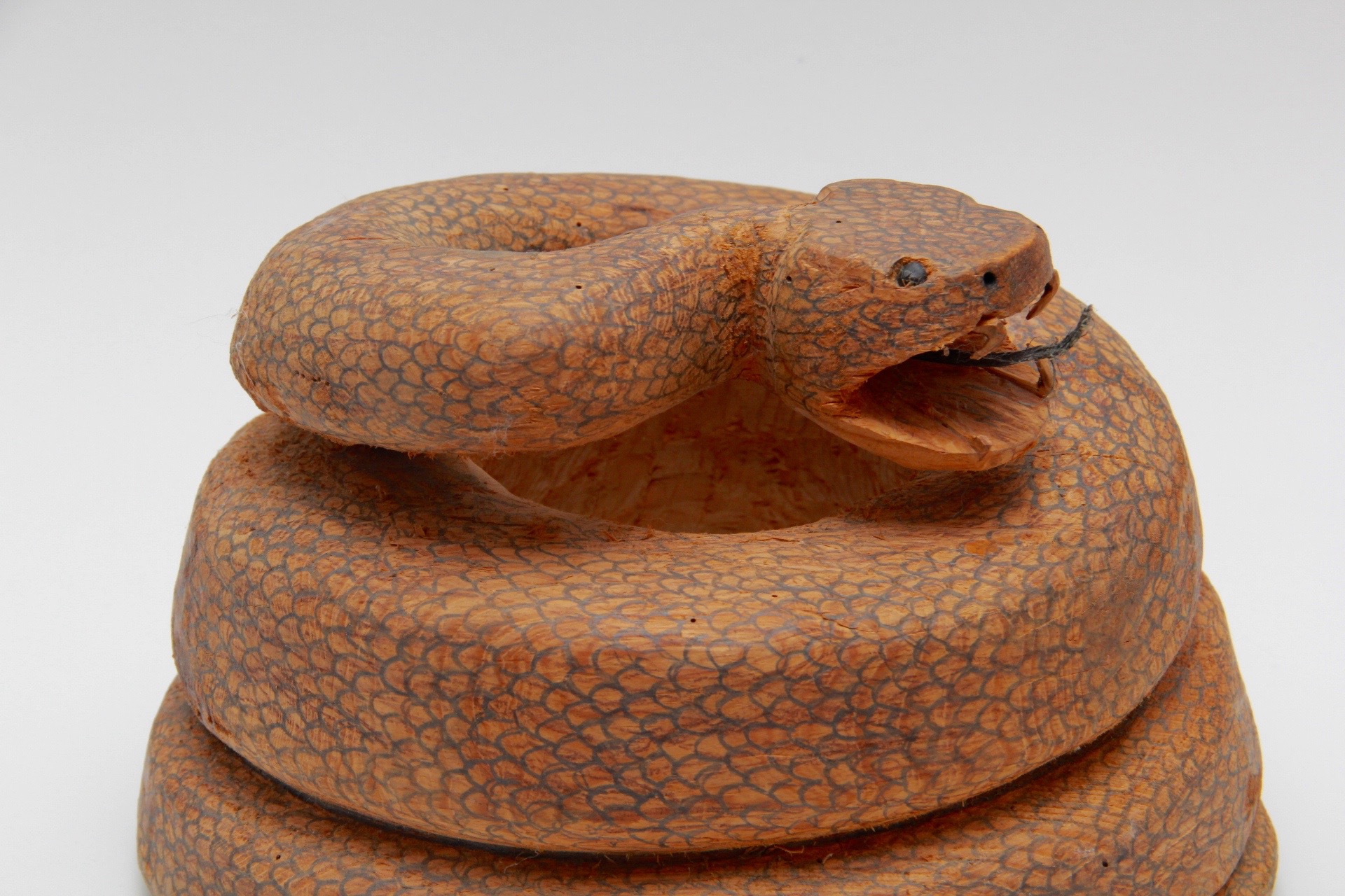 Hand-carved Pyrogravure Coiled Rattlesnake Sculpture