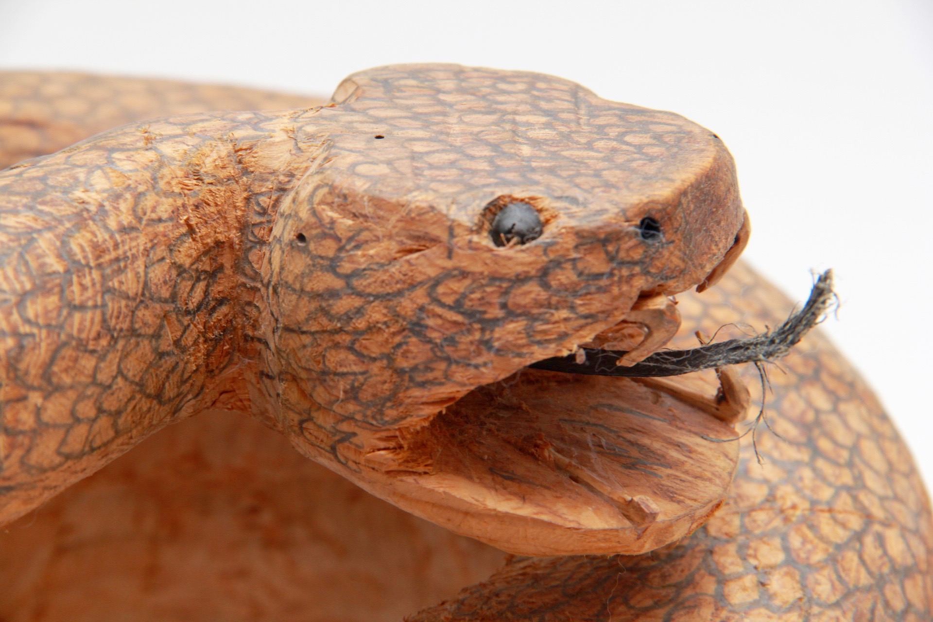 Hand-carved Pyrogravure Coiled Rattlesnake Sculpture