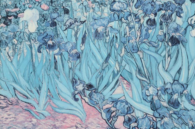 Vincent Van Gogh Exhibition Poster