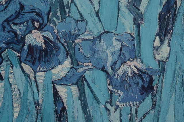 Vincent Van Gogh Exhibition Poster