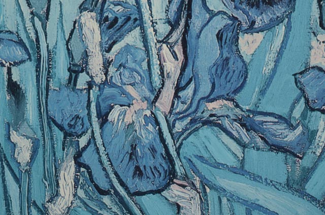 Vincent Van Gogh Exhibition Poster