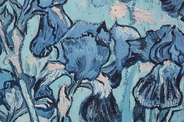 Vincent Van Gogh Exhibition Poster