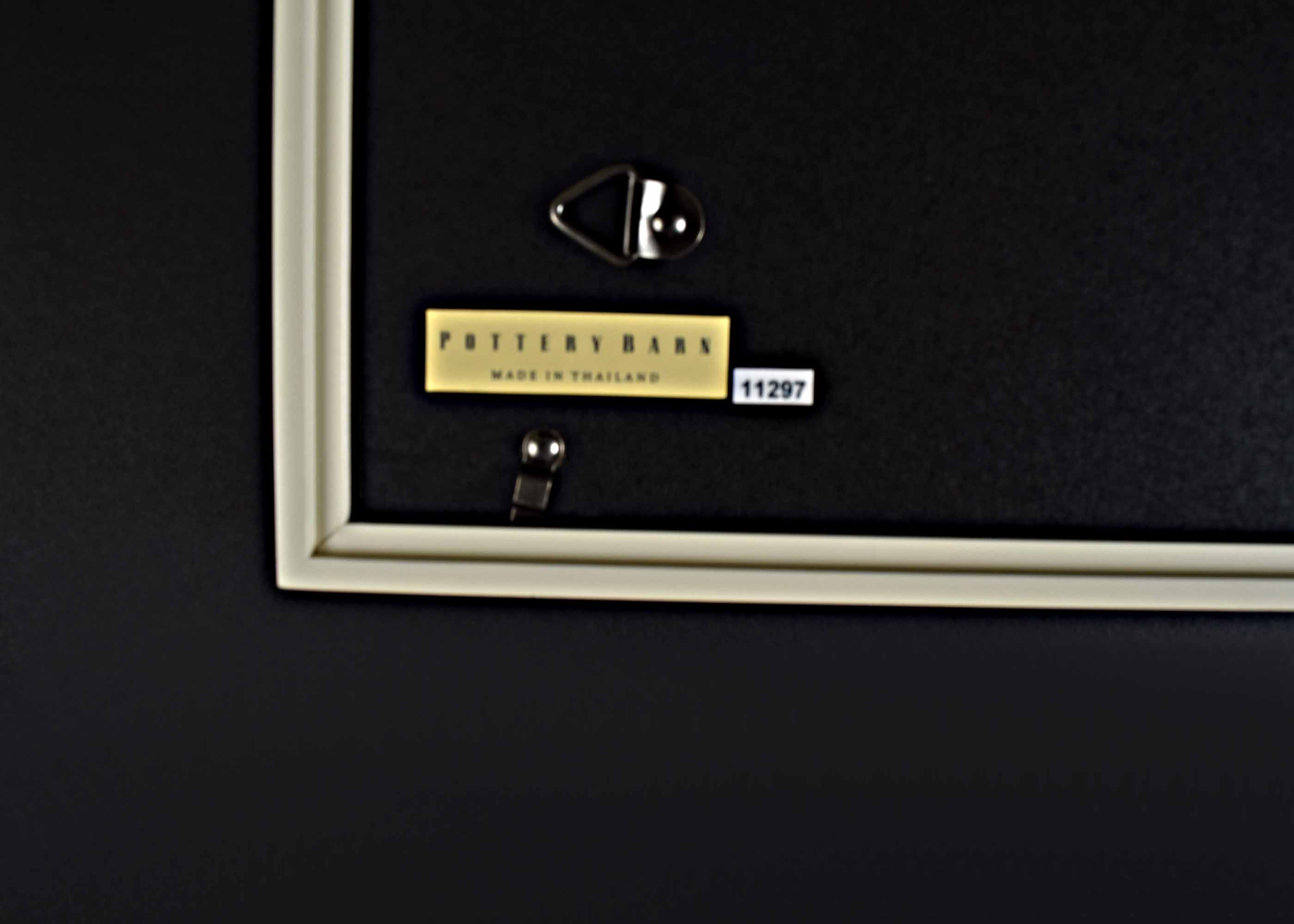 Four Pottery Barn Framed Turtle Shell Lithographs