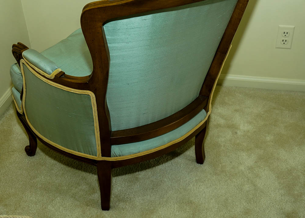 Robin's Egg Blue Bergere'