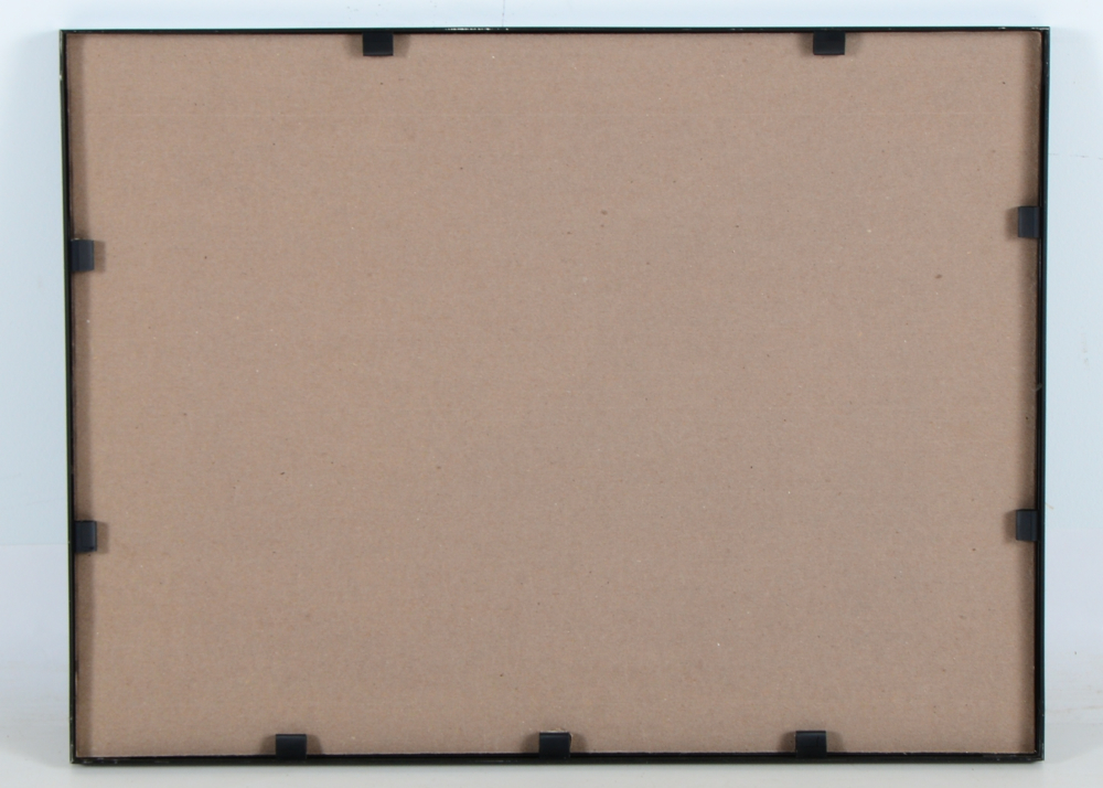 Framed University of Kentucky Hockey Season Poster With Ashley Judd