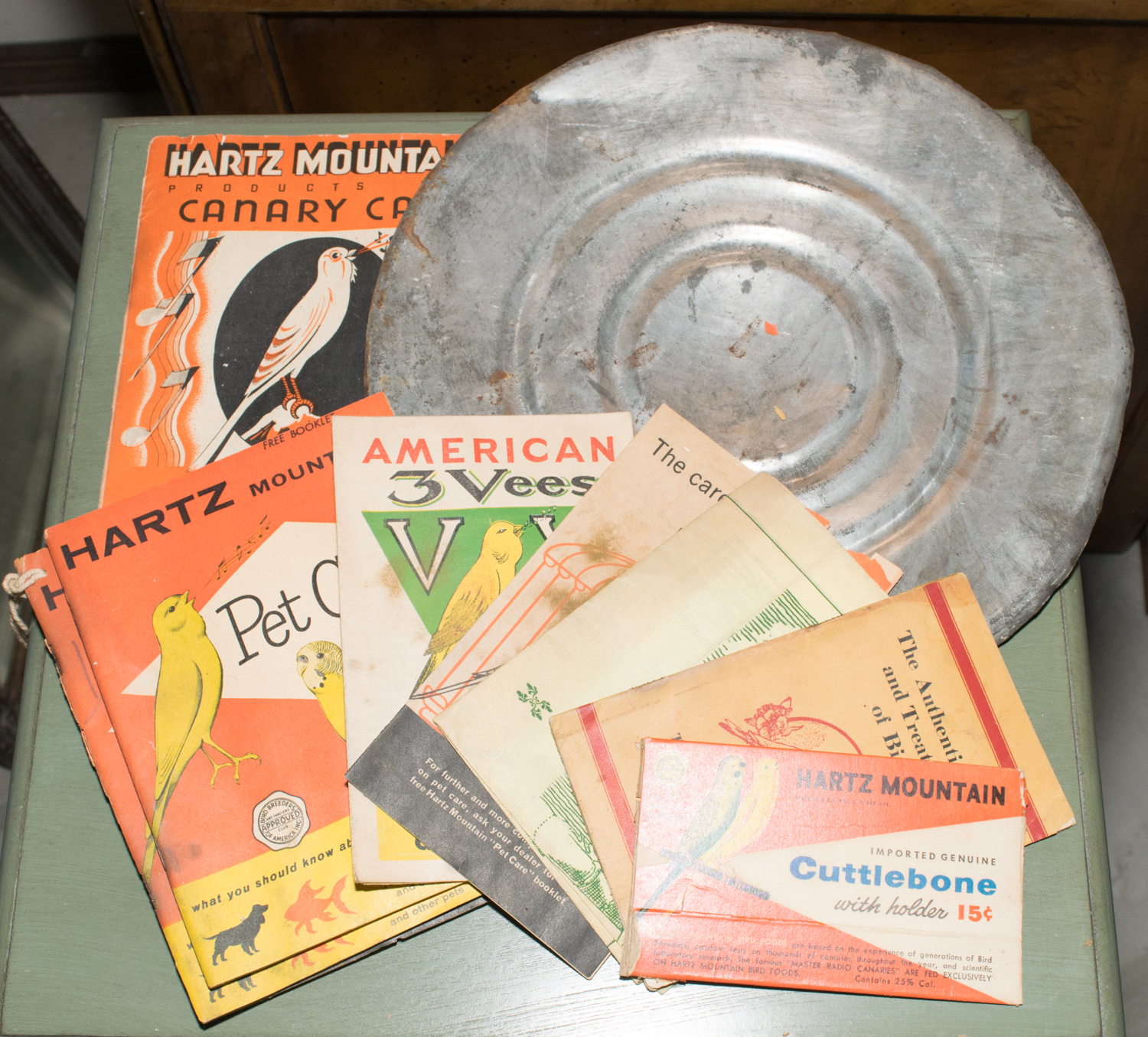 Vintage Hanging Bird Cage on Stand