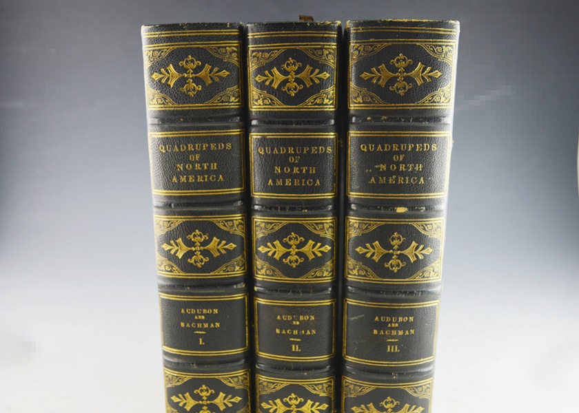 Audubon's "The Quadrupeds of North America" in 3 Volumes
