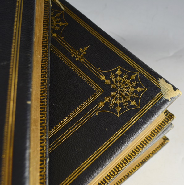 Audubon's "The Quadrupeds of North America" in 3 Volumes