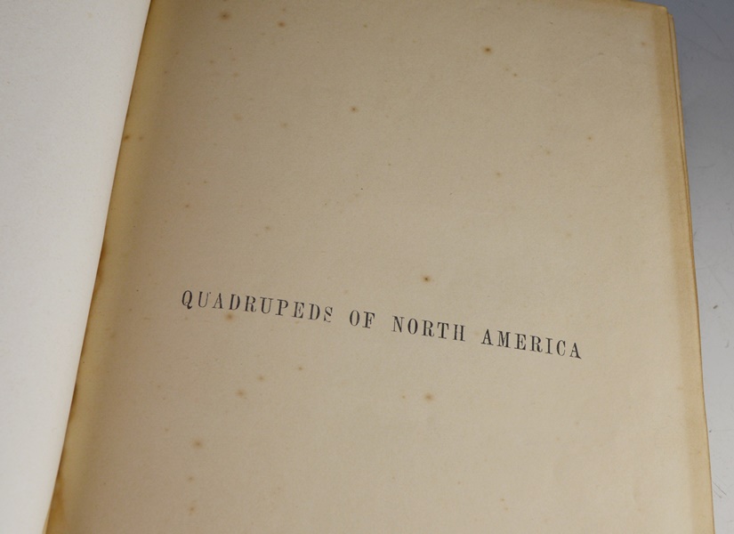 Audubon's "The Quadrupeds of North America" in 3 Volumes