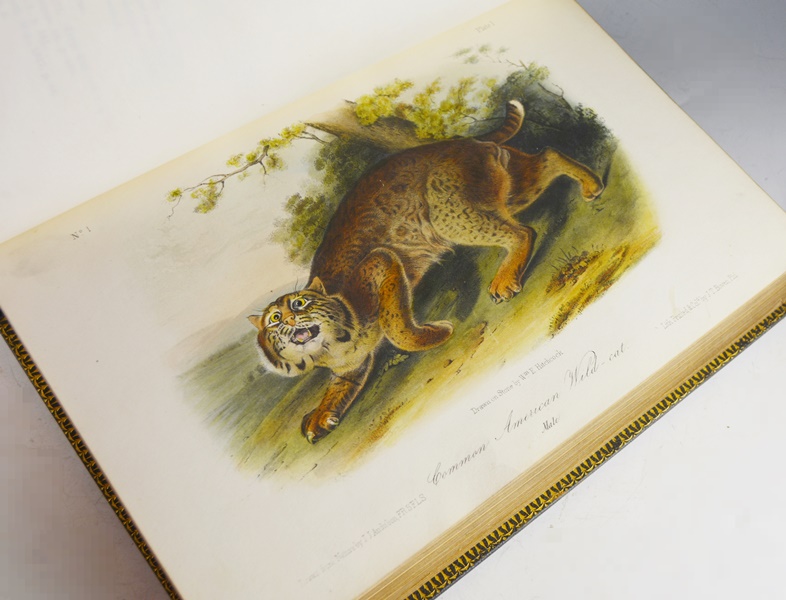 Audubon's "The Quadrupeds of North America" in 3 Volumes