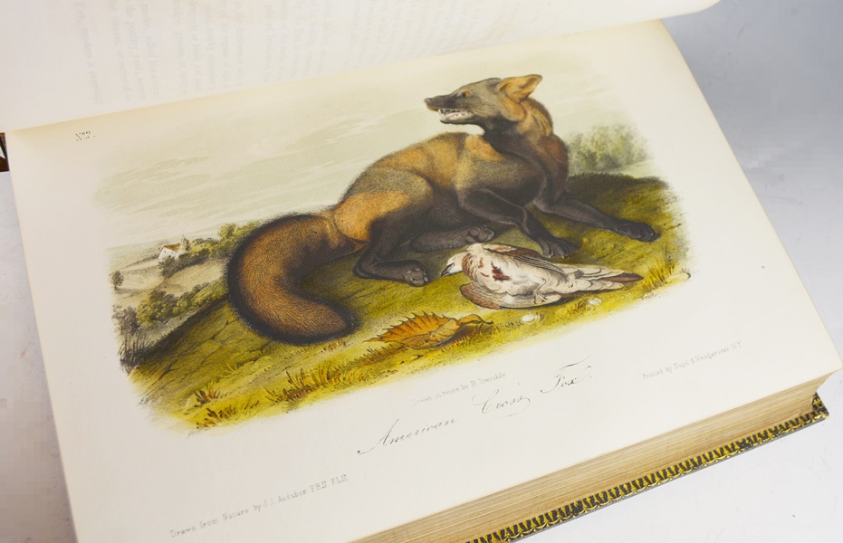 Audubon's "The Quadrupeds of North America" in 3 Volumes