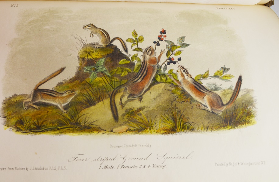 Audubon's "The Quadrupeds of North America" in 3 Volumes
