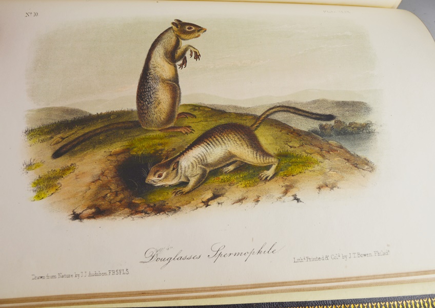 Audubon's "The Quadrupeds of North America" in 3 Volumes