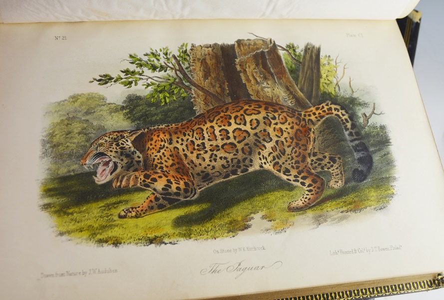 Audubon's "The Quadrupeds of North America" in 3 Volumes