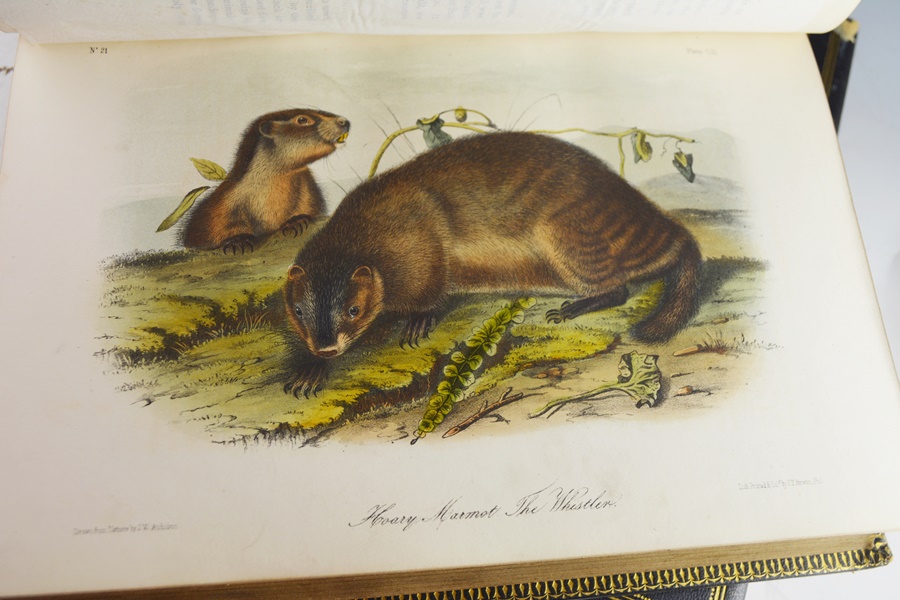 Audubon's "The Quadrupeds of North America" in 3 Volumes