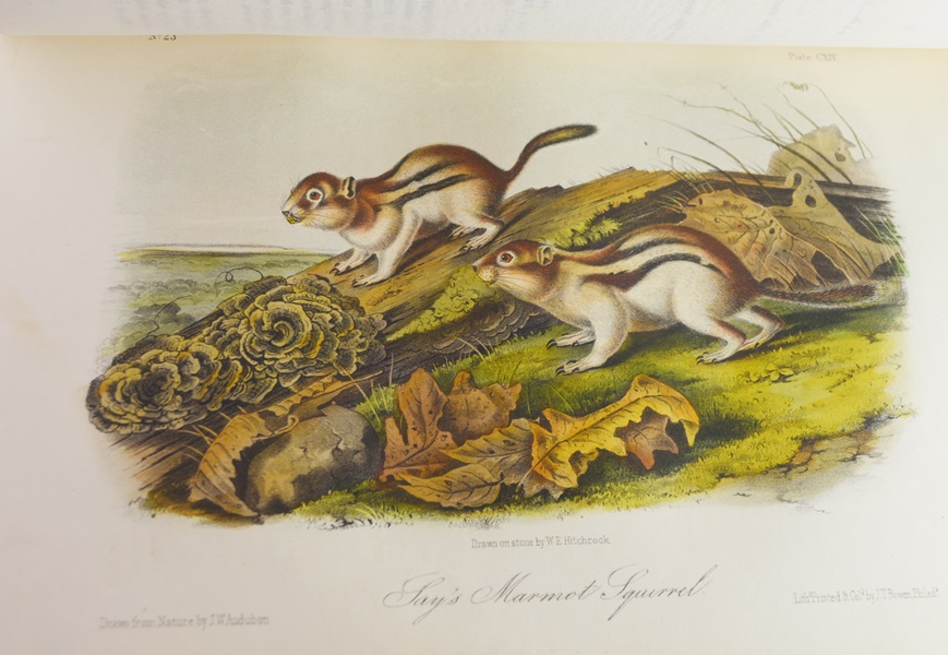 Audubon's "The Quadrupeds of North America" in 3 Volumes