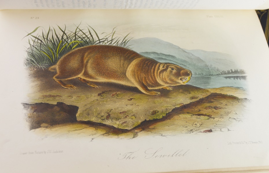 Audubon's "The Quadrupeds of North America" in 3 Volumes