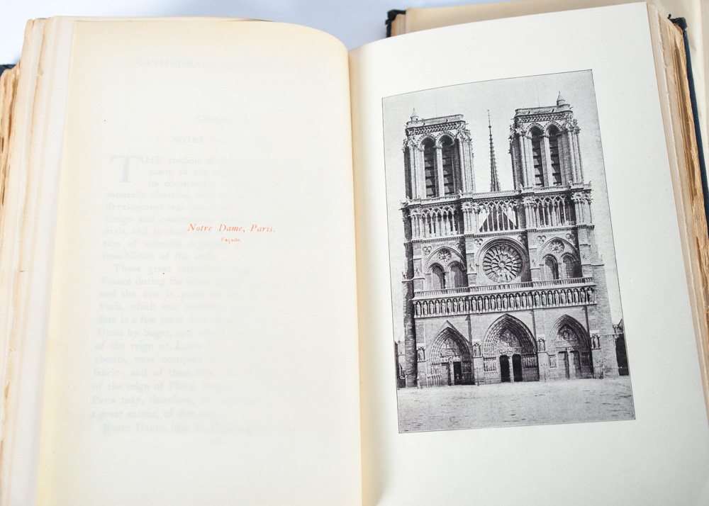 Complete Set of Great Races of Mankind and More