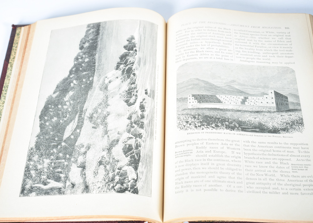 Complete Set of Great Races of Mankind and More