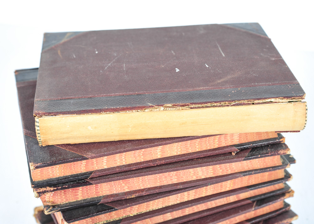 Complete Set of Great Races of Mankind and More