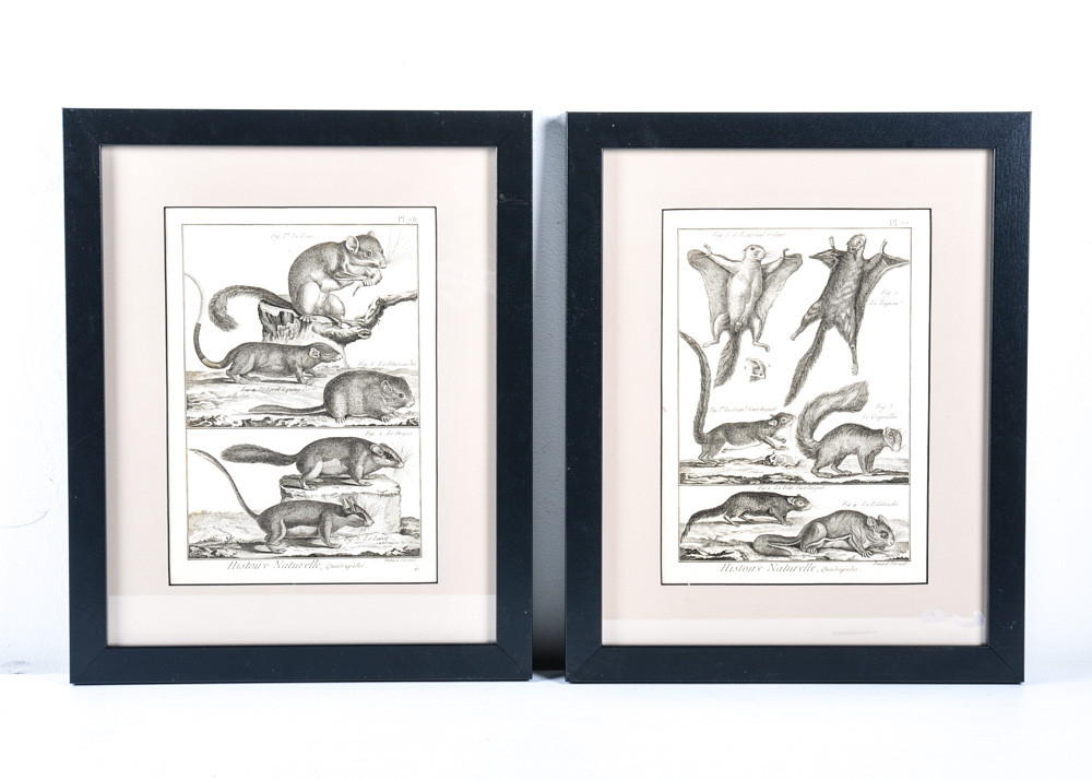 Duo of 18th Century Engravings