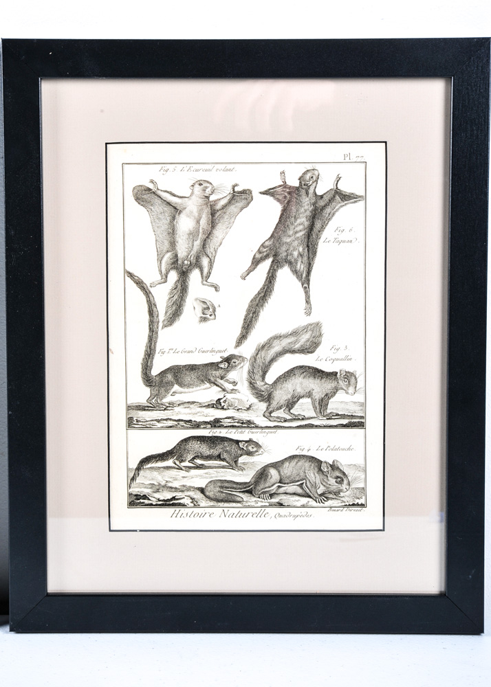 Duo of 18th Century Engravings